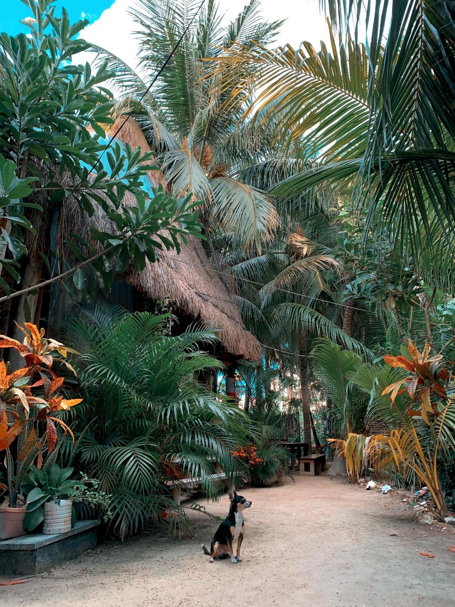 Kin Hostal And Camping Isla Holbox Zewnętrze zdjęcie